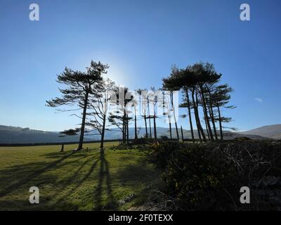 Cashtal Yn Ard Stock Photo