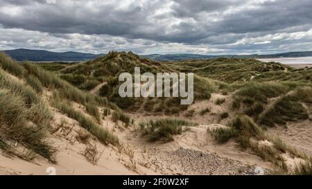 Sand-Hill Stock Photo