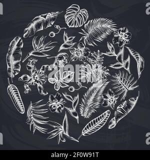 Round floral design with chalk monstera, banana palm leaves, strelitzia, heliconia, tropical palm leaves, orchid Stock Vector