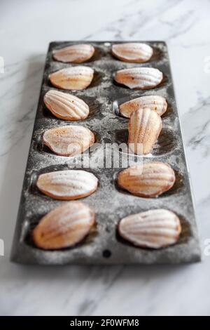 Side view vertical of freshly baked madeleine cakes in a tin on a white marble background Stock Photo