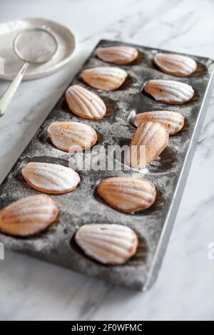 Side view diagonal of freshly baked madeleine cakes in a tin on a white marble background Stock Photo