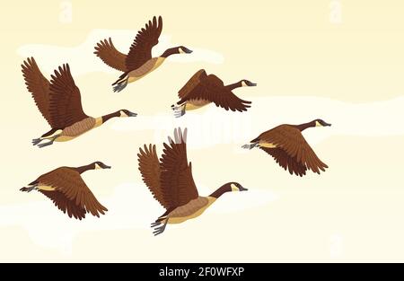 Flock of migrating geese flying. Migratory birds concept. Vector illustration. Stock Vector