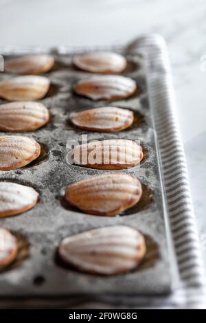 Close-up of freshly baked madeleine cakes in a tin on a tea towel and white marble background Stock Photo
