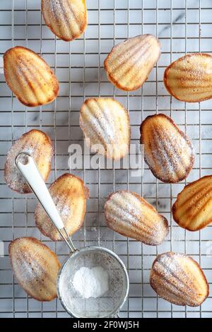 Top down view of home made baked madeleine cakes on a cooling rack with a sieve with icing sugar on a white marble background Stock Photo
