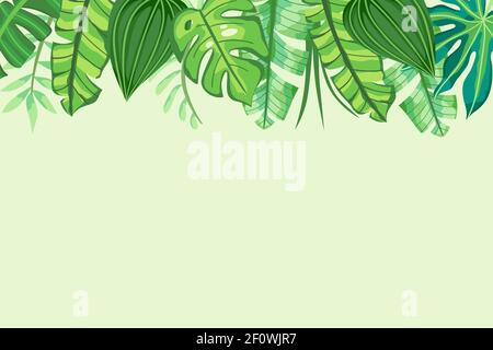 Green Tropical Background with leaves in the top side. Vector illustration. Stock Vector