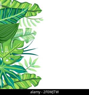 Isolated Tropical Background with leaves in the left side. Vector illustration. Stock Vector