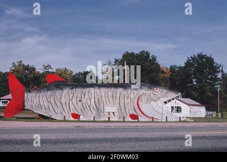 Big Fish Supper Club horizontal view 1 Route 2 Bena Minnesota ca. 1980 Stock Photo