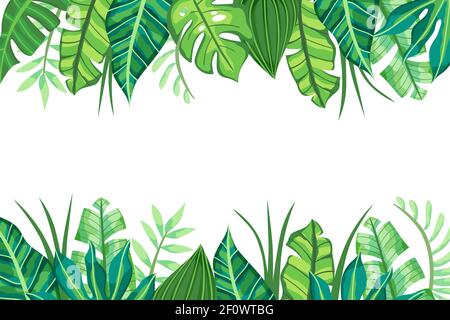 Isolated Tropical Background design. Vector illustration. Stock Vector