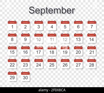 Monthly calendar template for September with daily date. On transparent background. Flat style. Vector illustration. Stock Vector