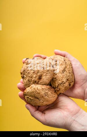 Close up on hands of unknown caucasian woman holding homemade baked fresh crunchy chip cookie biscuits over abstract yellow background with copy space Stock Photo