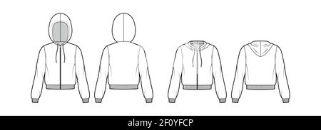 Set of Zip-up Hoody sweatshirt technical fashion illustration with long sleeves, relax body, knit rib cuff, banded. Flat apparel template front, back, white color. Women, men, unisex CAD mockup Stock Vector
