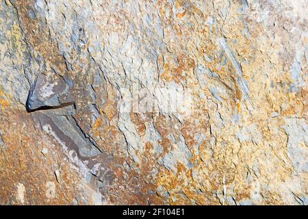 Rocks stone   red orange gneiss in Stock Photo