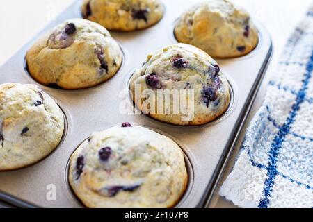 Homemade freshly baked muffins with berries in baking pan Stock Photo