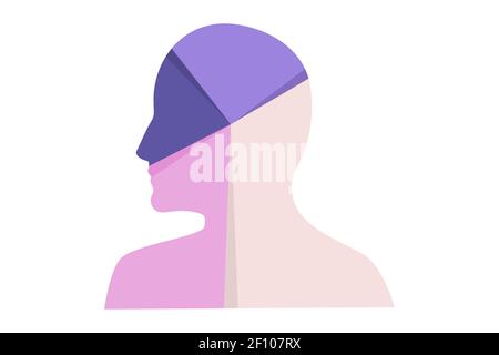 Demographic infographic concept illustration. Human contour silced in different parts of different colors. Vector. Stock Vector