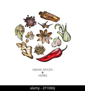 Indian spices herbs composition with isolated colored icon set combined in big round vector illustration Stock Vector