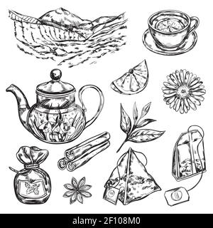 Hand draw black herbal tea teapot accessories and supplies for making tea vector illustration Stock Vector
