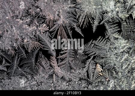 Intricate ice crystals growing on a window pane in winter in Michigan, USA Stock Photo