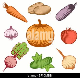 Isolated set of colorful raw vegetable food symbols on blank background in hand drawn style flat vector illustration Stock Vector