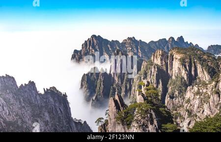 View of the clouds and the pine tree at the mountain peaks of Huangshan National park, China. Landscape of Mount Huangshan of the winter season. UNESC Stock Photo
