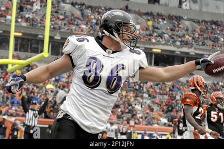 Baltimore Ravens Todd Heap (86) walks the sideline during the fourth  quarter of the game against the Cincinnati Bengals at M&T Bank Stadium in  Baltimore on October 11, 2009. The Bengals beat