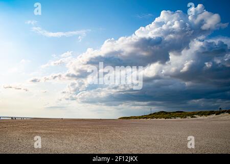 Sand dunes of Blavand beach in Denmark Stock Photo