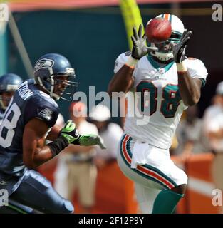 Miami Dolphins tight end Julian Hill runs with the ball on the