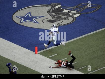 Cincinnati Bengals wide receiver Terrell Owens (81) during practice at the  Bengals training camp in Georgetown Ky. (Credit Image: © Wayne  Litmer/Southcreek Global/ZUMApress.com Stock Photo - Alamy