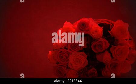 Roses on red background Stock Photo