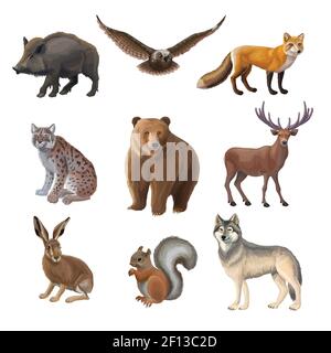 Cartoon forest animals set with wild boar owl fox lynx bear deer hair squirrel wolf isolated vector illustration Stock Vector