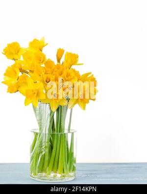 Daffodils bouquet close up in glass vase on white background with copy space, vertical banner Stock Photo