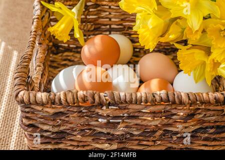 Eggs in wicker basket and daffodils bouquet close up on light rustic background Stock Photo