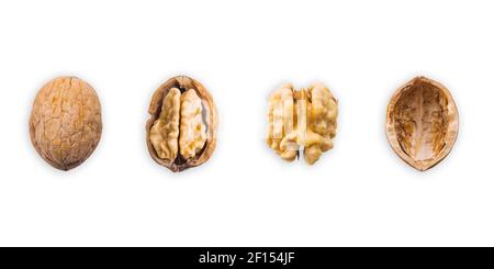 Walnut, closed, opened, half, kernel and shell placed in a row on a white background. The view from the top. Banner Stock Photo