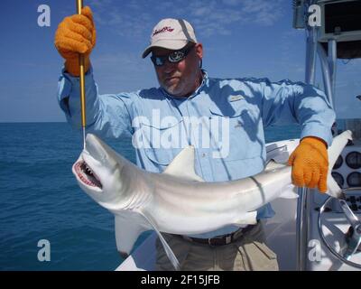 One depicts captain Mark Schmidt holding a blacktip shark caught