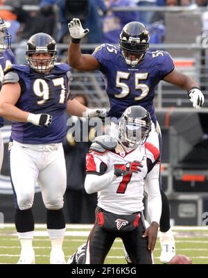 Collected Wisdom: Baltimore Ravens defensive tackle Kelly Gregg