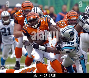 Cincinnati Bengals half back Rudi Johnson (32) runs the ball for a  touchdown in the fourth quarter against the Detroit Lions December 18, 2005  at Ford Field in Detroit. The Bengals defeated