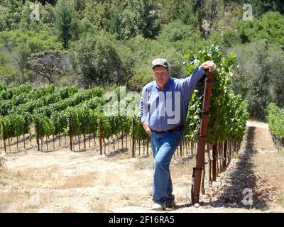 Tom Seaver's vineyard still carries on his legacy: 'I see him in the  grapes' - The Athletic