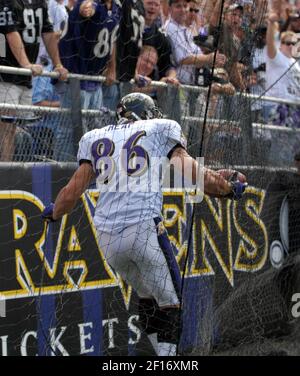 03 August 2010: Baltimore Ravens tight end Todd Heap (86) in action during  Ravens training camp at McDaniel College in Westminster, MDMandatory  Credit: Russell Tracy / Southcreek Global (Credit Image: © Russell