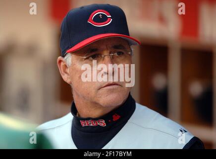 Cincinnati Reds manager Jerry Narron, left, talks with bench coach Bucky  Dent during a baseball game with the Chicago White Sox, Saturday, June 17,  2006, in Cincinnati. (AP Photo/Al Behrman Stock Photo 