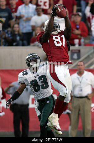 Jacksonville, FL; Sept 20, 2009 - Arizona Cardinals wide receiver Anquan  Boldin (81) in action against the Jacksonville Jaguars at Jacksonville  Municipal Stadium in Jacksonville, FL. (Icon Sportswire via AP Images Stock  Photo - Alamy