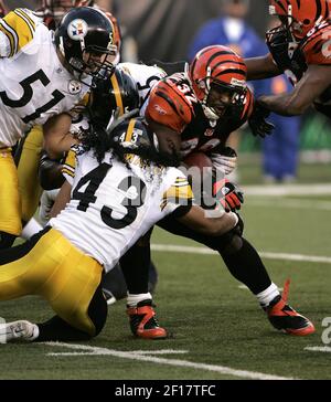 Cincinnati Bengals running back Rudi Johnson runs against the Tennessee  Titans in Cincinnati, Ohio, Aug. 23, 2003. With a record-setting game, the  low-profile running back emerged as one of the Bengals' most