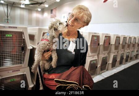 KRT LIFESTYLE STORY SLUGGED: PETS-TEACUP KRT PHOTOGRAPH BY LILLY  ECHEVERRIA/MIAMI HERALD (SOUTH FLORIDA OUT) (January 12) Laurie Siegel and  her 2-year- old teacup toy poodle, Lucy, on Friday afternoon, January 7,  2005