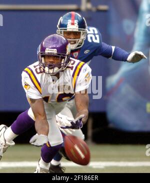 Minnesota Vikings wide receiver Troy Williamson pulls in a pass