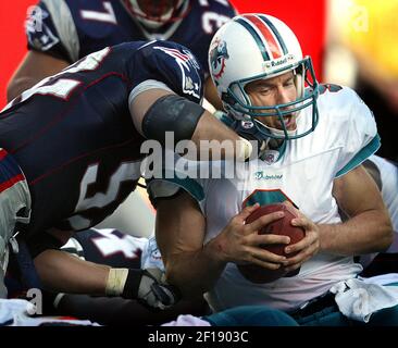 FOXBORO, MA - OCTOBER 24: Patriots #37 Rodney Harrison cheers after  breaking up a pass to Wayne Chrebet late in the fourth quarter with 8 yds  to go to pull ahead during