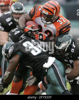 Cincinnati Bengals half back Rudi Johnson (32) runs the ball for a