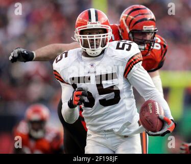 Cincinnati Bengals linebacker Clay Johnston (44) runs for the play during  an NFL football game against the Kansas City Chiefs, Sunday, Dec. 4, 2022,  in Cincinnati. (AP Photo/Emilee Chinn Stock Photo - Alamy