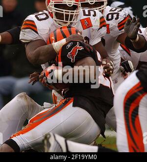 KRT SPORTS STORY SLUGGED: BROWNS-PATRIOTS KRT PHOTO BY ED SUBA JR/AKRON  BEACON JOURNAL (December 9) FOXBORO, MA -- New England Patriot cornerback  Otis Smith celebrates after his team stopped the Cleveland Browns