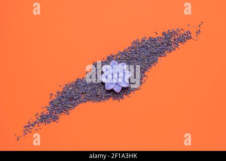 Natural lavender soap in flower shape above view on an orange-colored background. Lavender seeds and soap isolated on a colorful table. Stock Photo