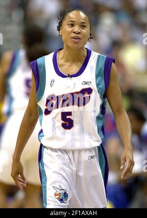 DAWN STALEY 2002 ULTRA WNBA SUMMER LOVE MEMORABILIA JERSEY CHARLOTTE STING  (T)