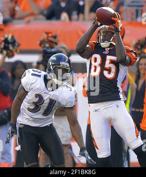 December 27 2009: WR Chad Ochocinco (85) of the Cincinnati Bengals before  the game against the Kansas City Chiefs at Paul Brown Stadium in  Cincinnati, Ohio. (Icon Sportswire via AP Images Stock Photo - Alamy