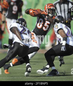 December 27 2009: WR Chad Ochocinco (85) of the Cincinnati Bengals before  the game against the Kansas City Chiefs at Paul Brown Stadium in  Cincinnati, Ohio. (Icon Sportswire via AP Images Stock Photo - Alamy